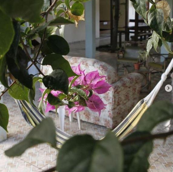 Hotel Pousada Guaypora Guarapari Eksteriør bilde