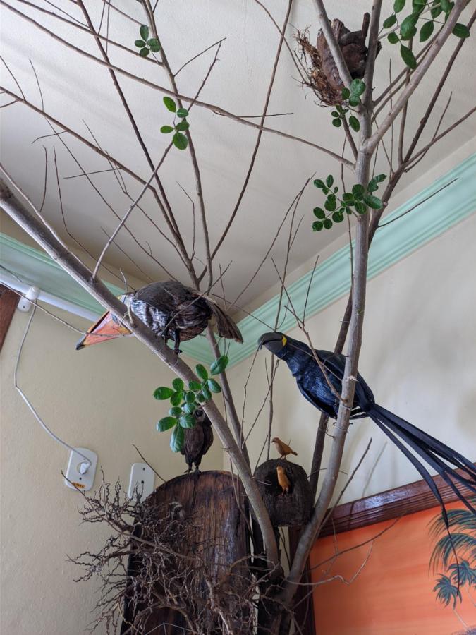 Hotel Pousada Guaypora Guarapari Eksteriør bilde